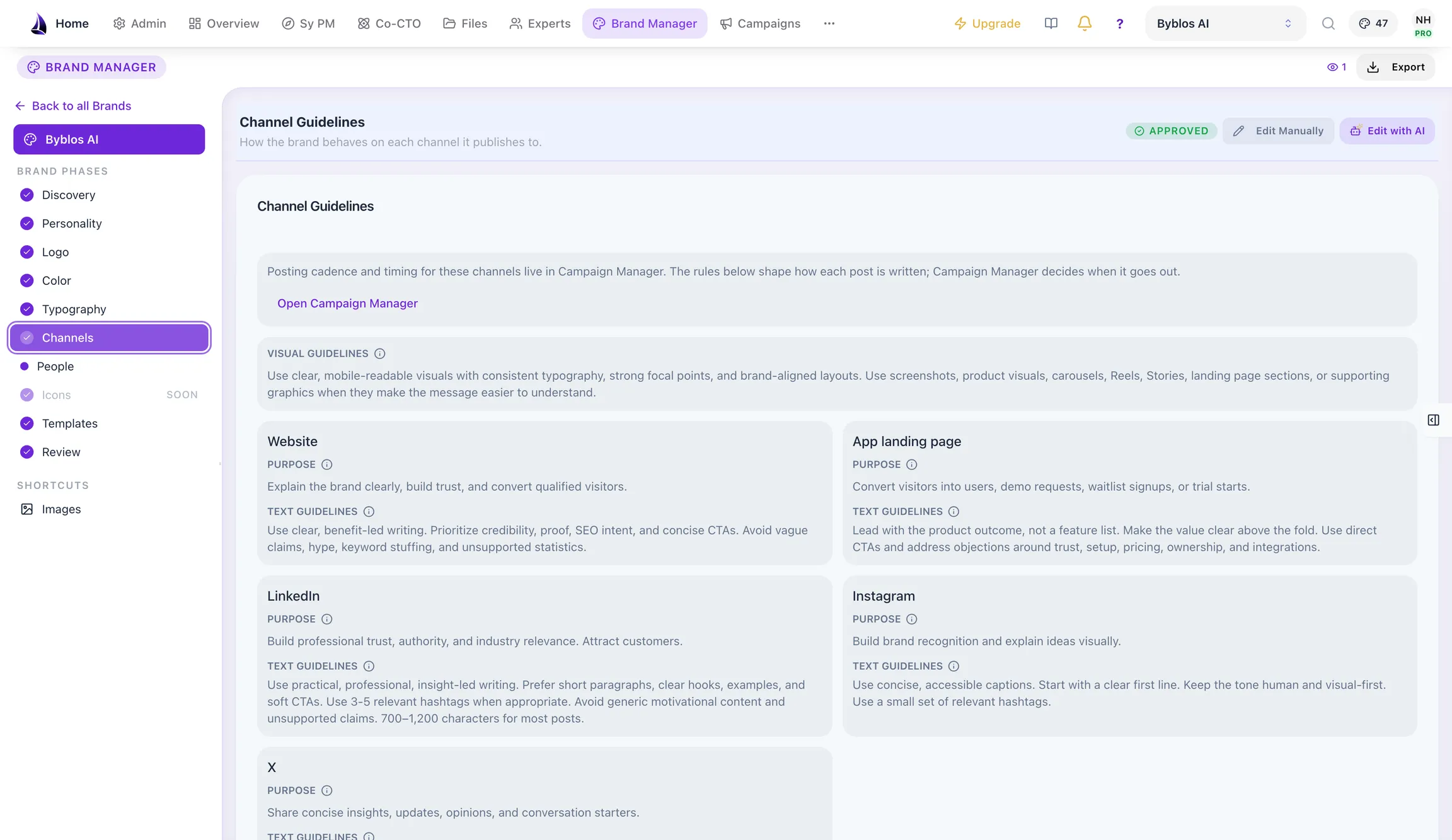 Per-channel brand guidance across website, app landing page, LinkedIn, Instagram and X.