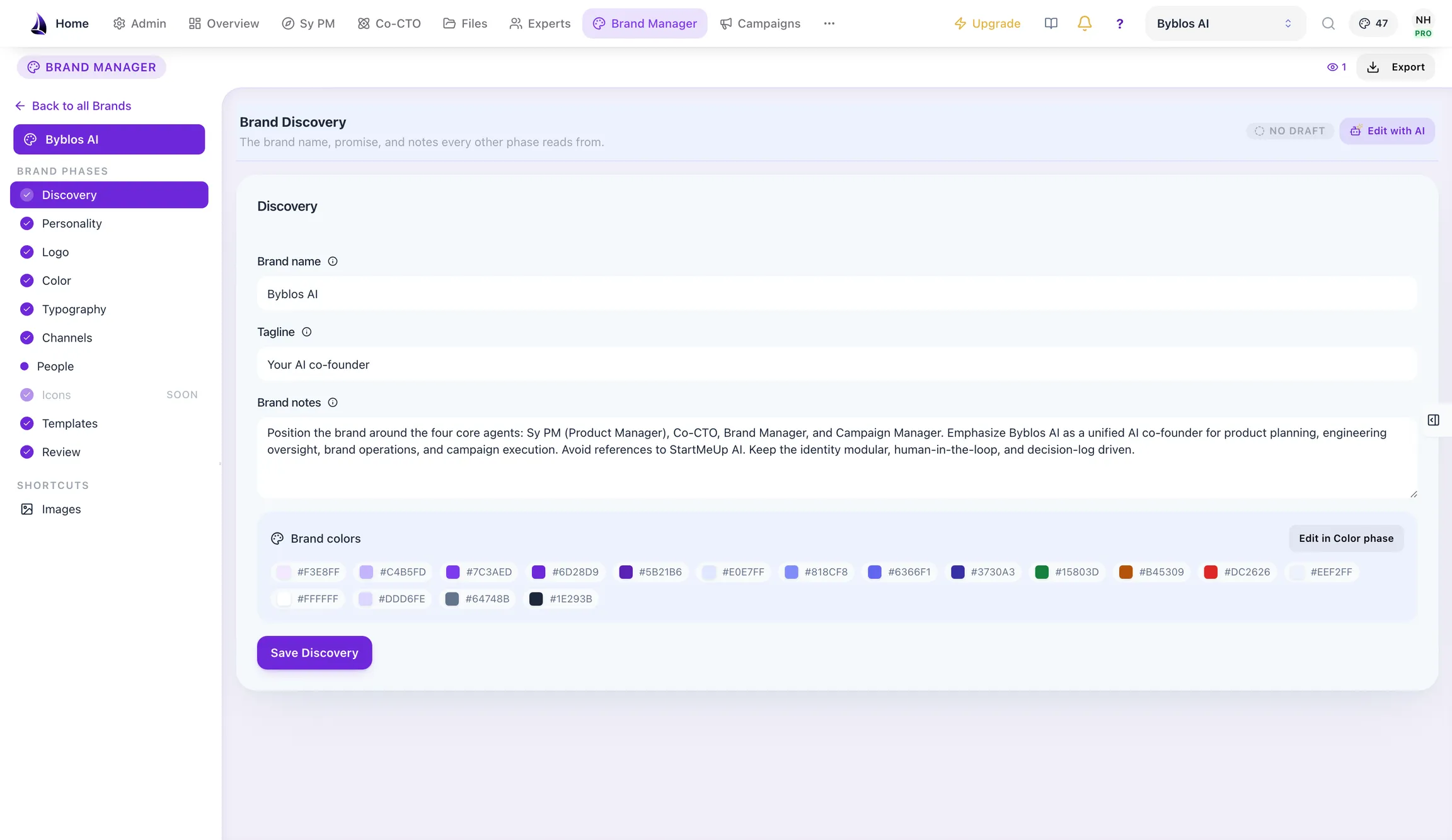 The Brand Manager discovery phase with brand name, tagline, positioning notes and the project’s colour set.