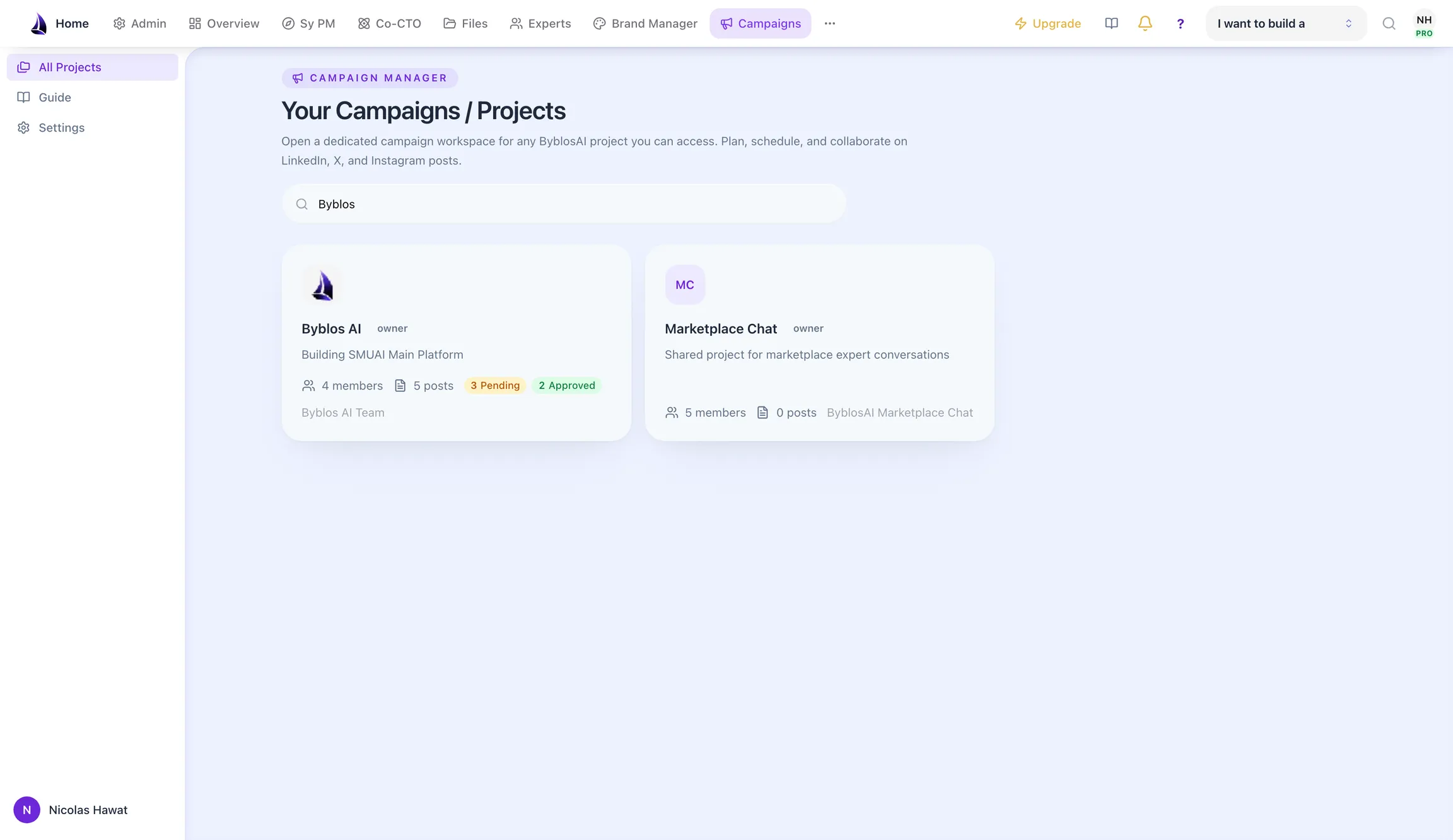 The Campaign Manager project list, showing a campaign workspace with its member, post and approval counts.